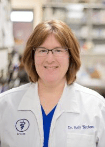 Dr.-Machtell